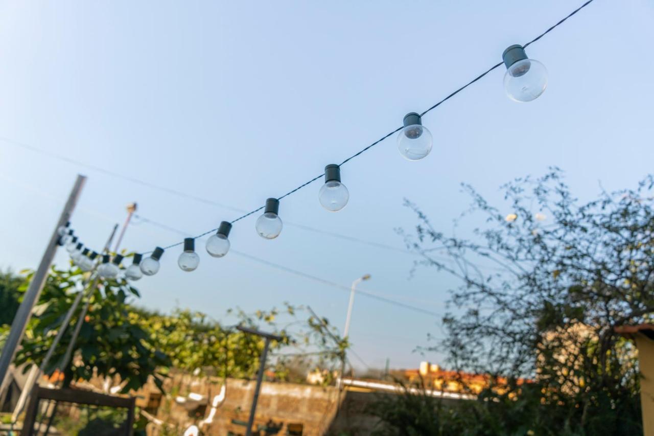 Growth House Bed and Breakfast OOporto Exteriör bild