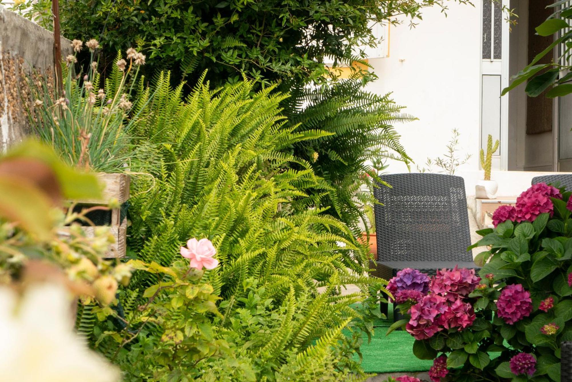 Growth House Bed and Breakfast OOporto Exteriör bild