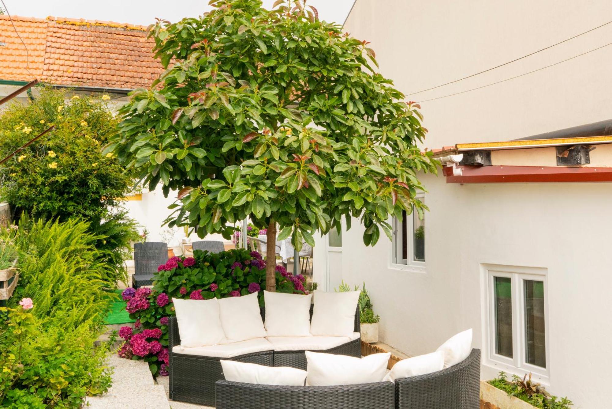 Growth House Bed and Breakfast OOporto Exteriör bild