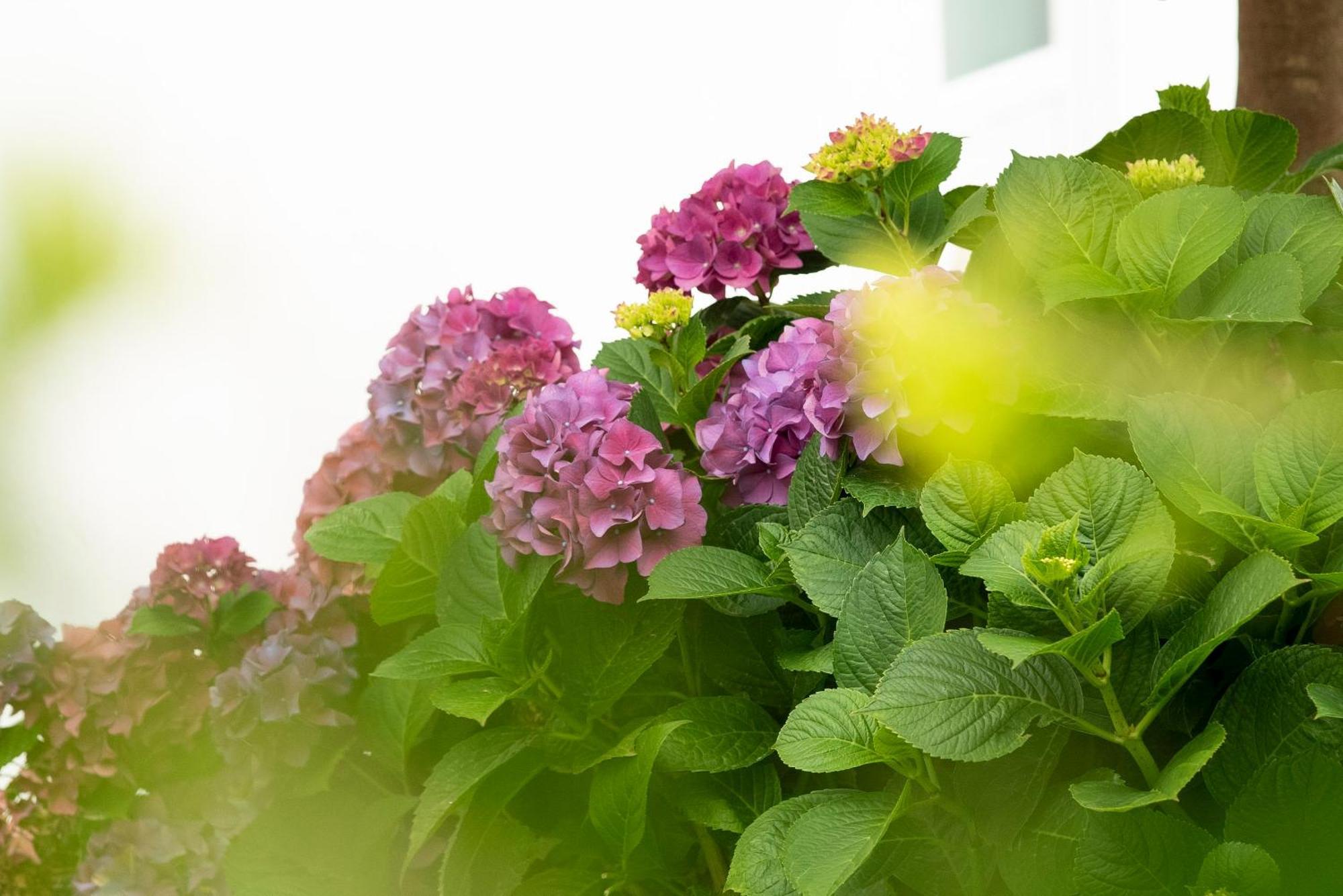 Growth House Bed and Breakfast OOporto Exteriör bild